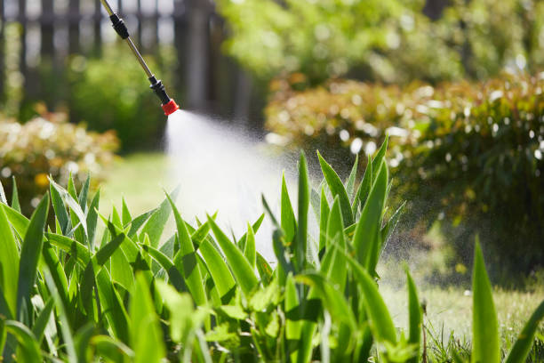 24/7 Emergency Ant Control experts in Somerset, OH